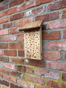 Bee Box