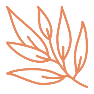 Willow Leaf Gifts